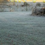 Heavy frost